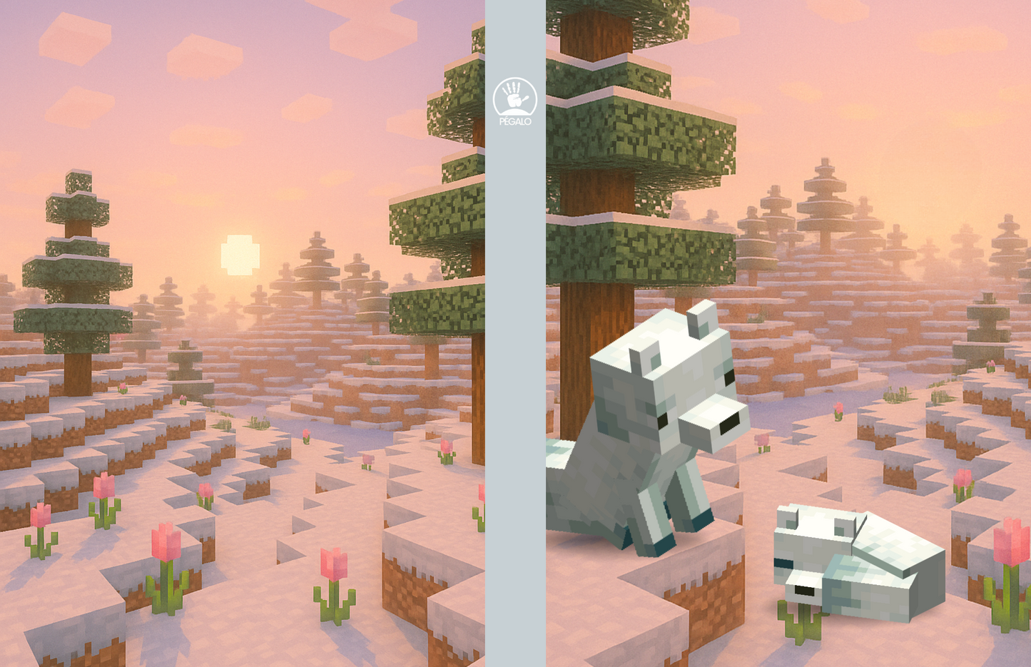 Forros Libretas MineCraft