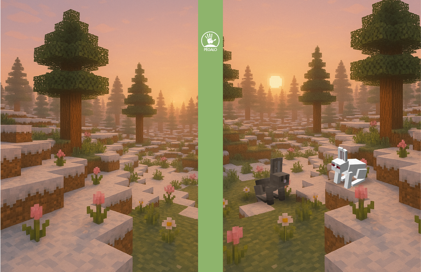 Forros Libretas MineCraft