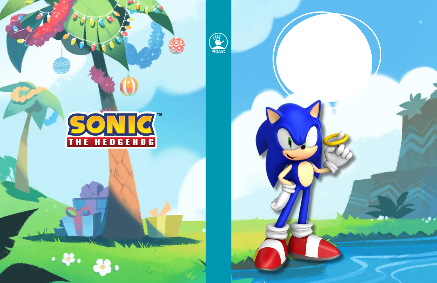 Forros Libretas Sonic
