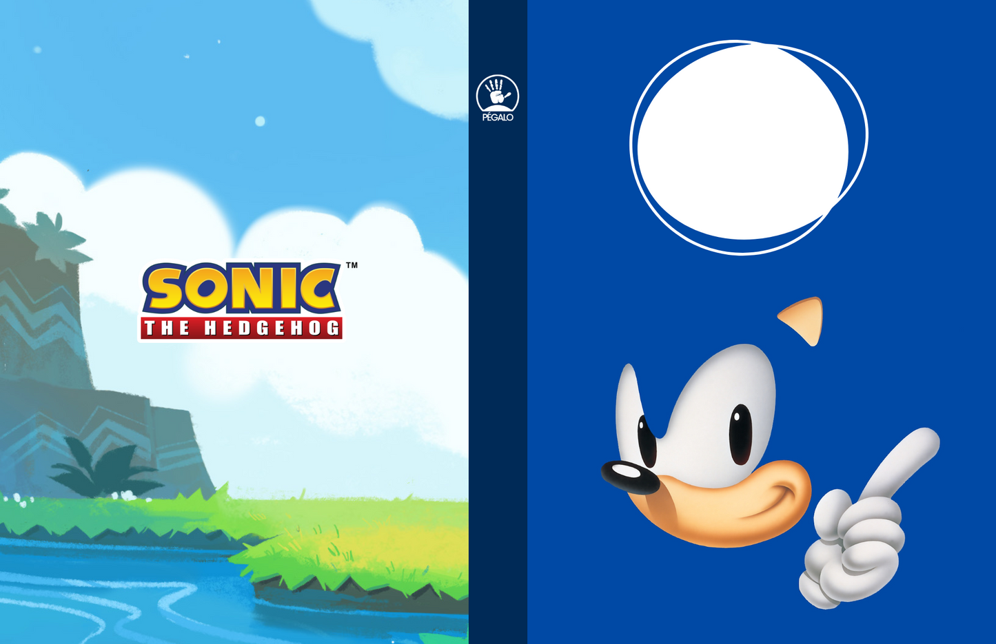Forros Libretas Sonic