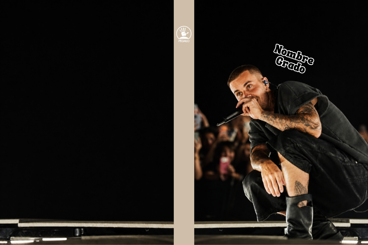 Forros Justin Bieber